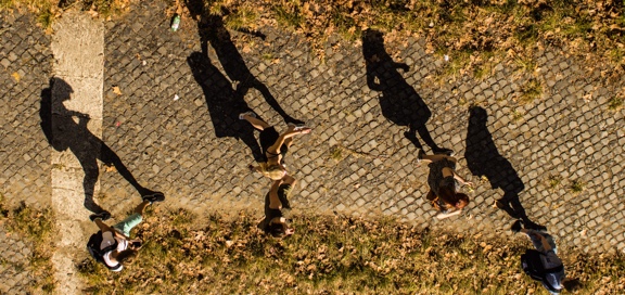 Bird's eye view of people walking down a path